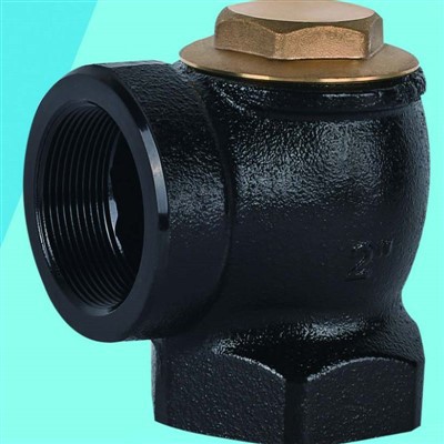 Torujuhtme tagasilöögiklapp